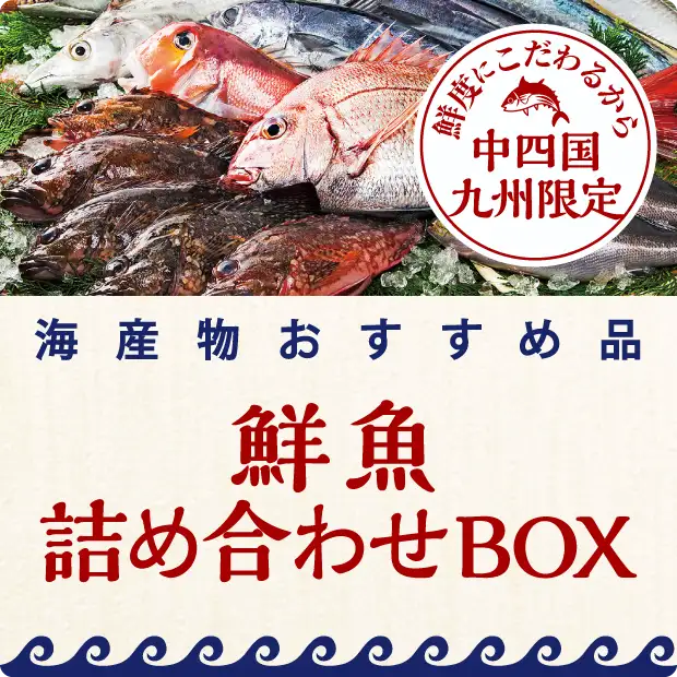 海産物おすすめ品 鮮魚詰め合わせパック